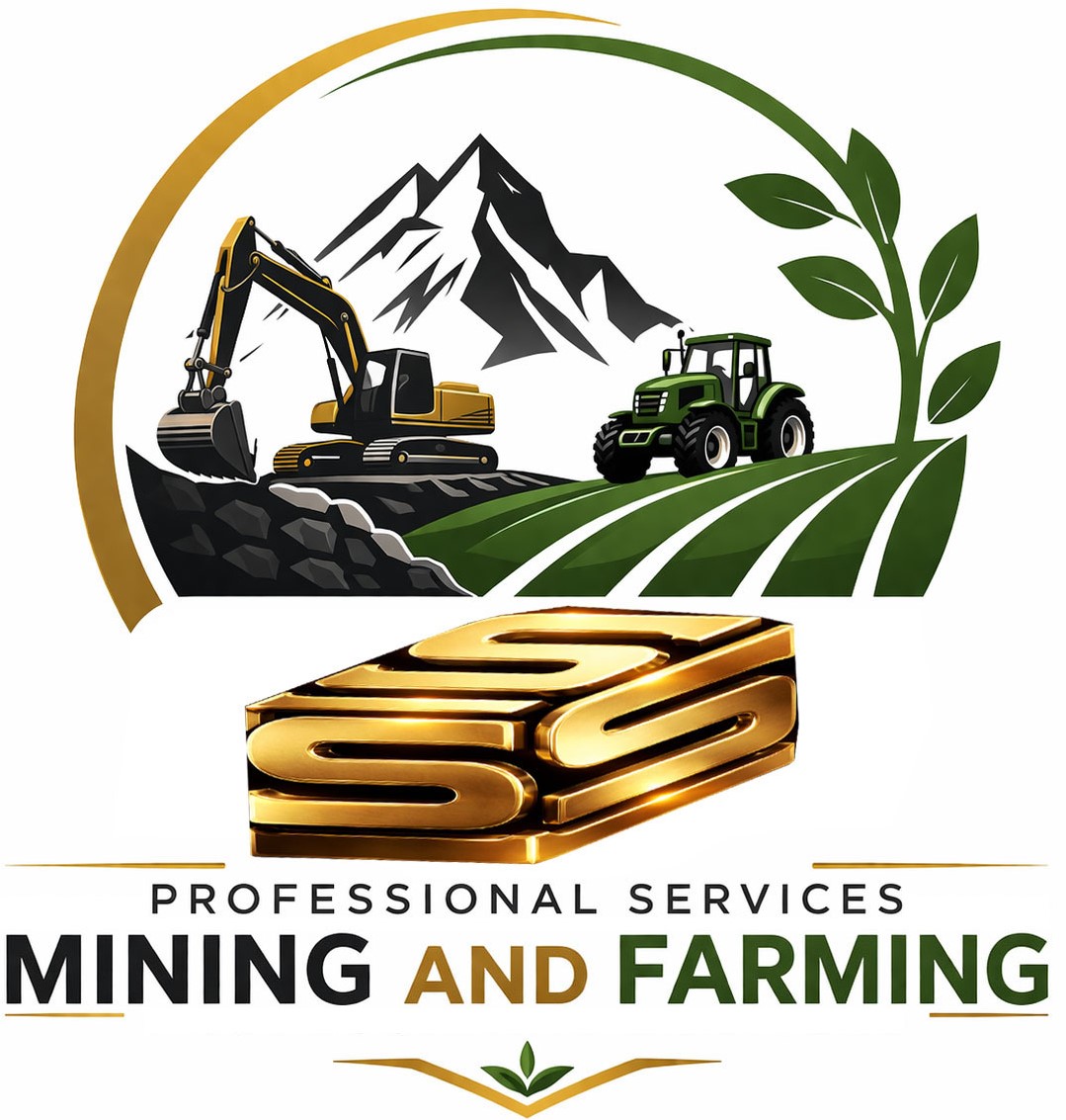 SSS Professional Services Logo
